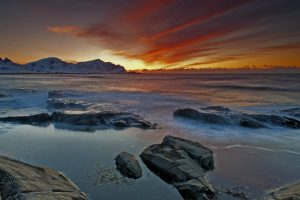 Lofoten Video