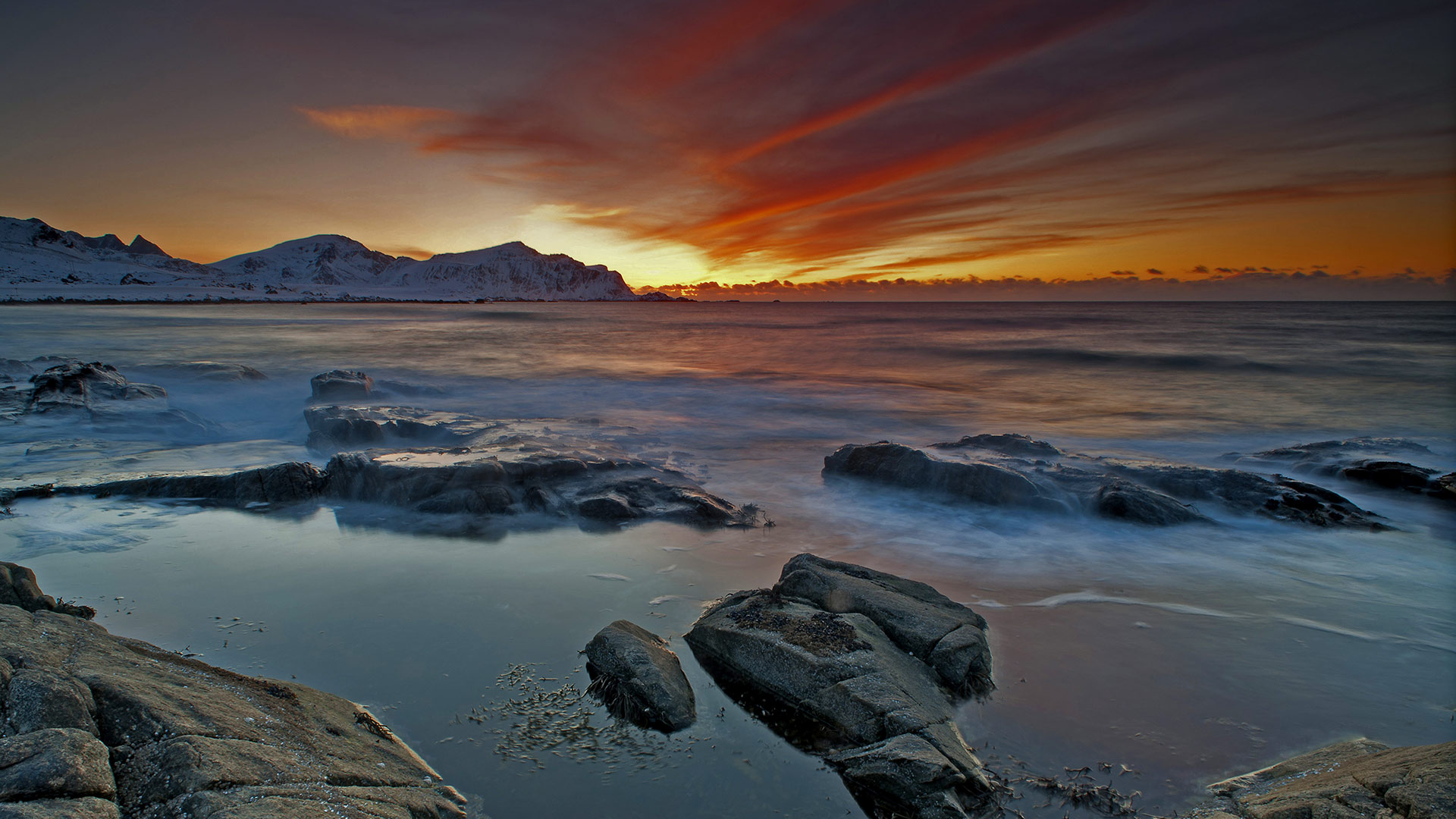 Lofoten Video