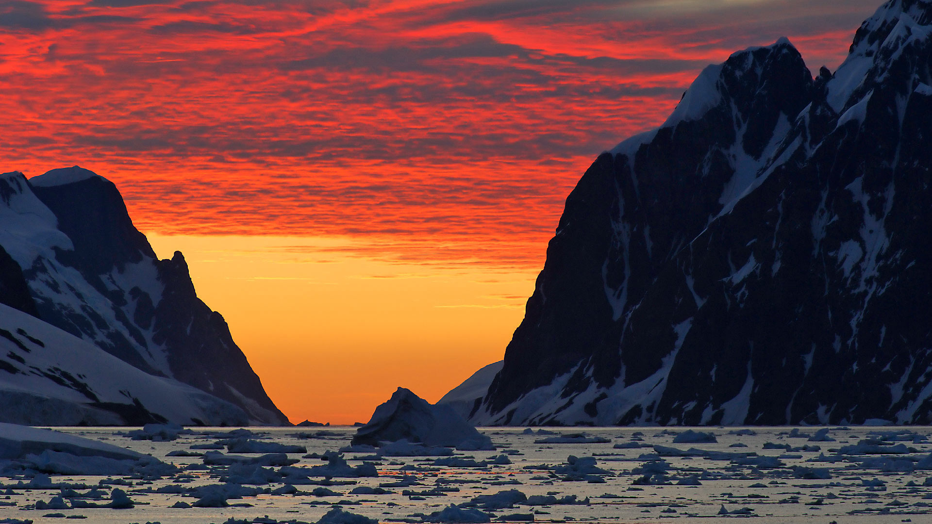 Red Antarctica