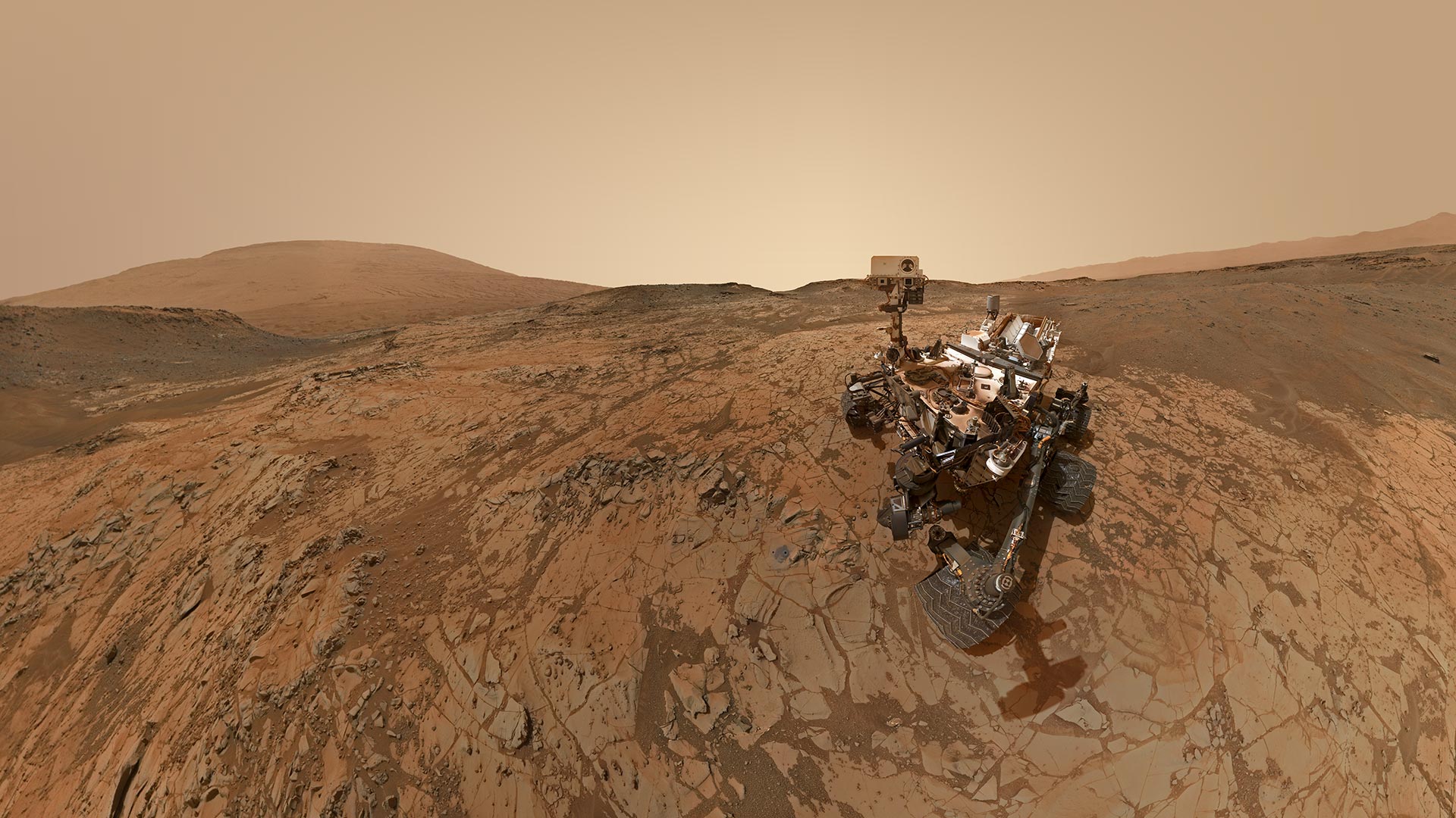 Rover Selfie