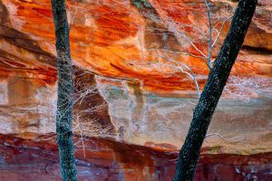 Sedona Oak Creek