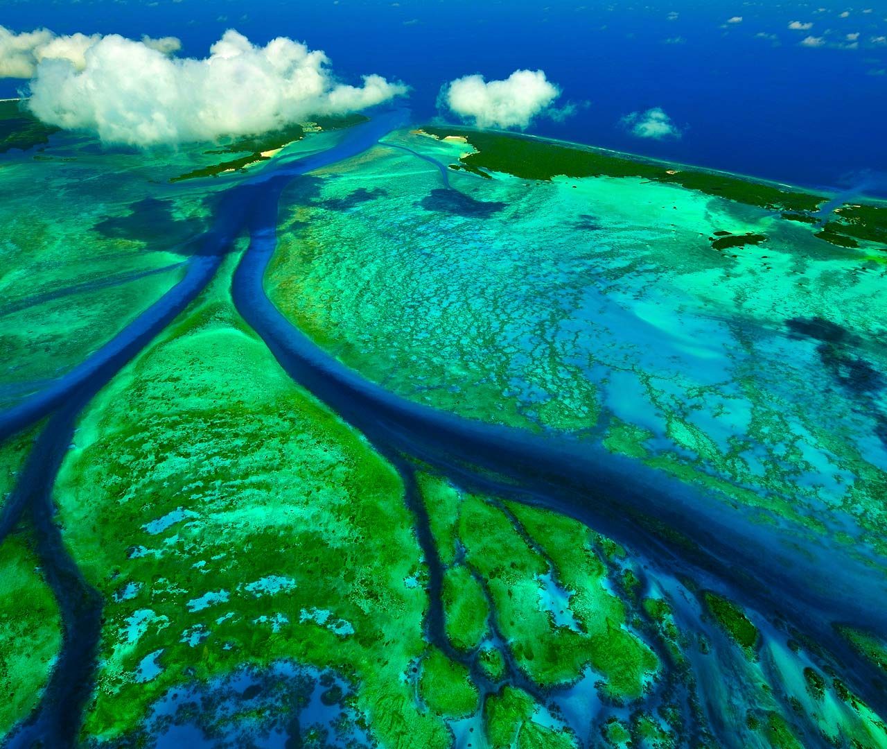 Крупное море индийского океана. Атолл Альдабра. Атолл Альдабра Сейшельские острова. 2.Aldabra Atoll. Альдабра (группа островов).