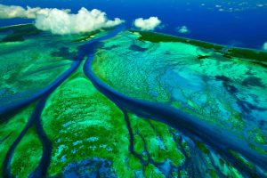 Seychelles Tidal Channels