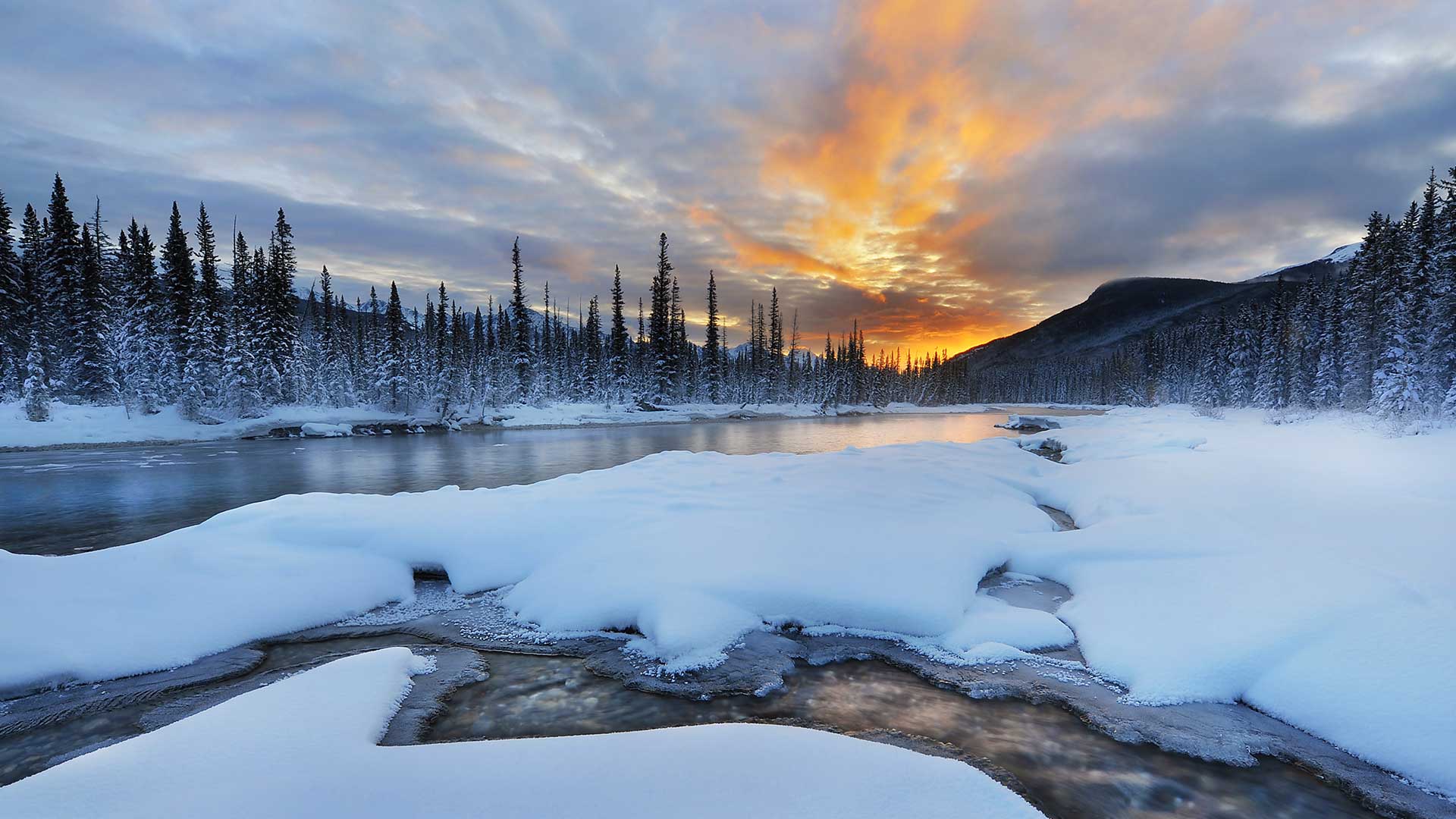 Snowy Sunrise