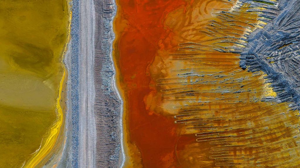 Algae Aerial