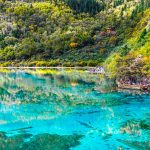 Azure Lake With Trees