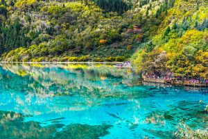 Azure Lake With Trees