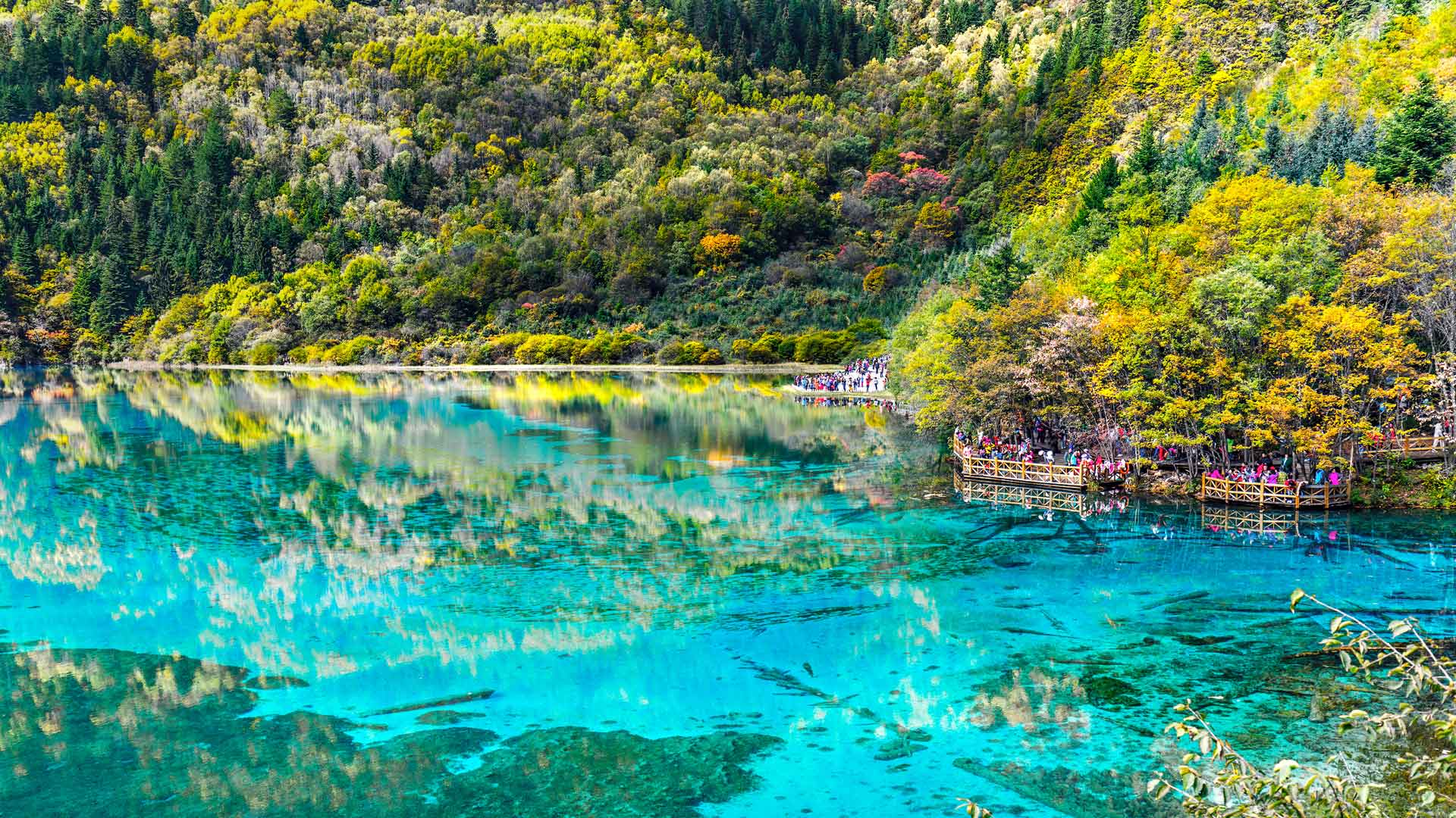 Azure Lake With Trees