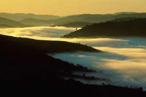 Bathurst Mist