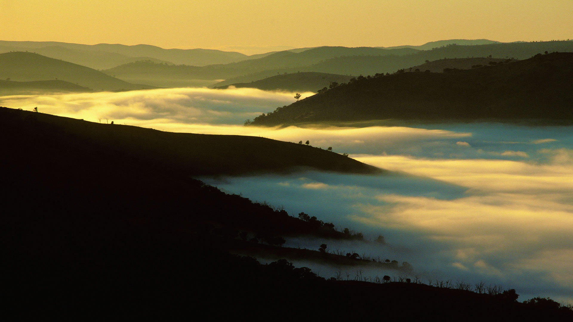 Bathurst Mist