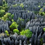 Bemaraha NP