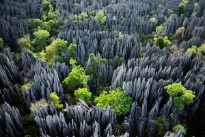 Bemaraha NP