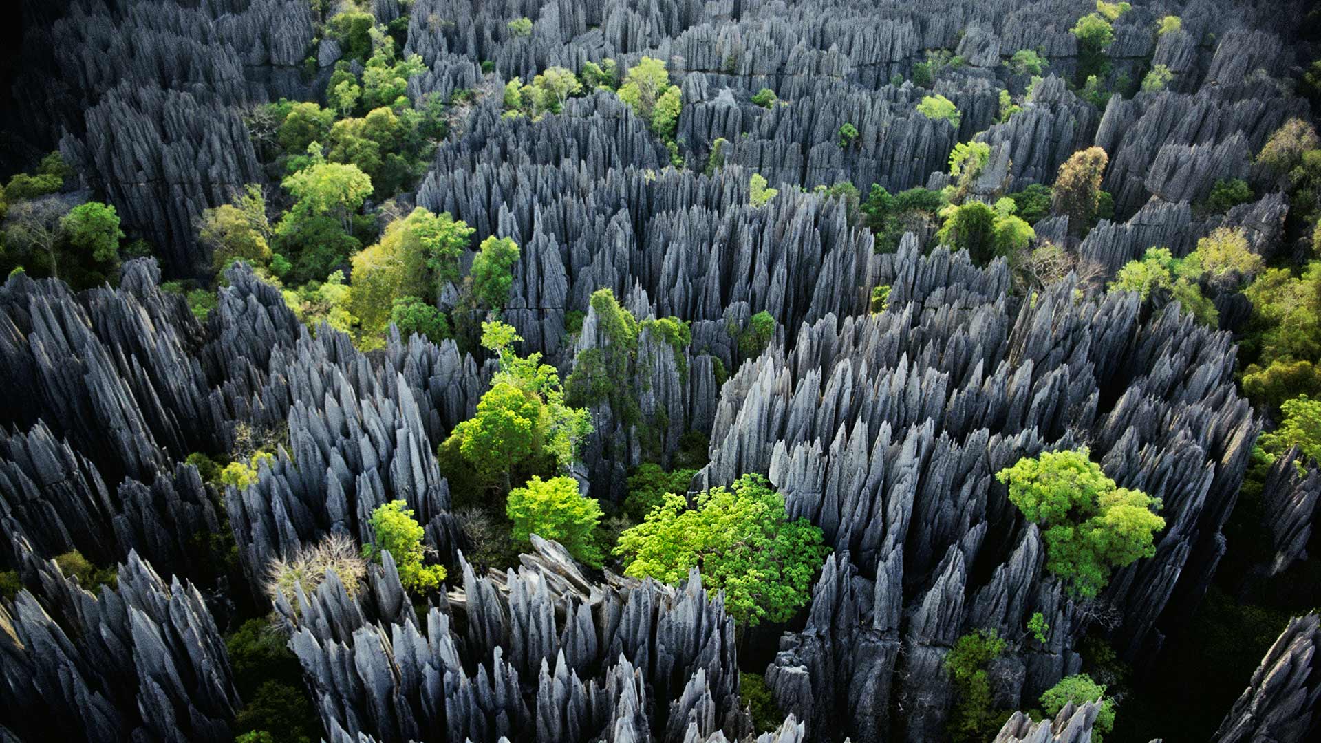 Bemaraha NP