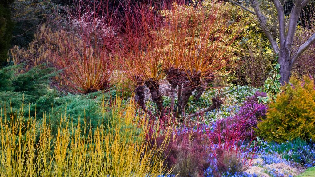 Cambridge Botanic Garden