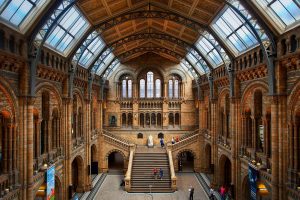 Central Hall NHM