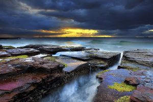 Coledale Beach