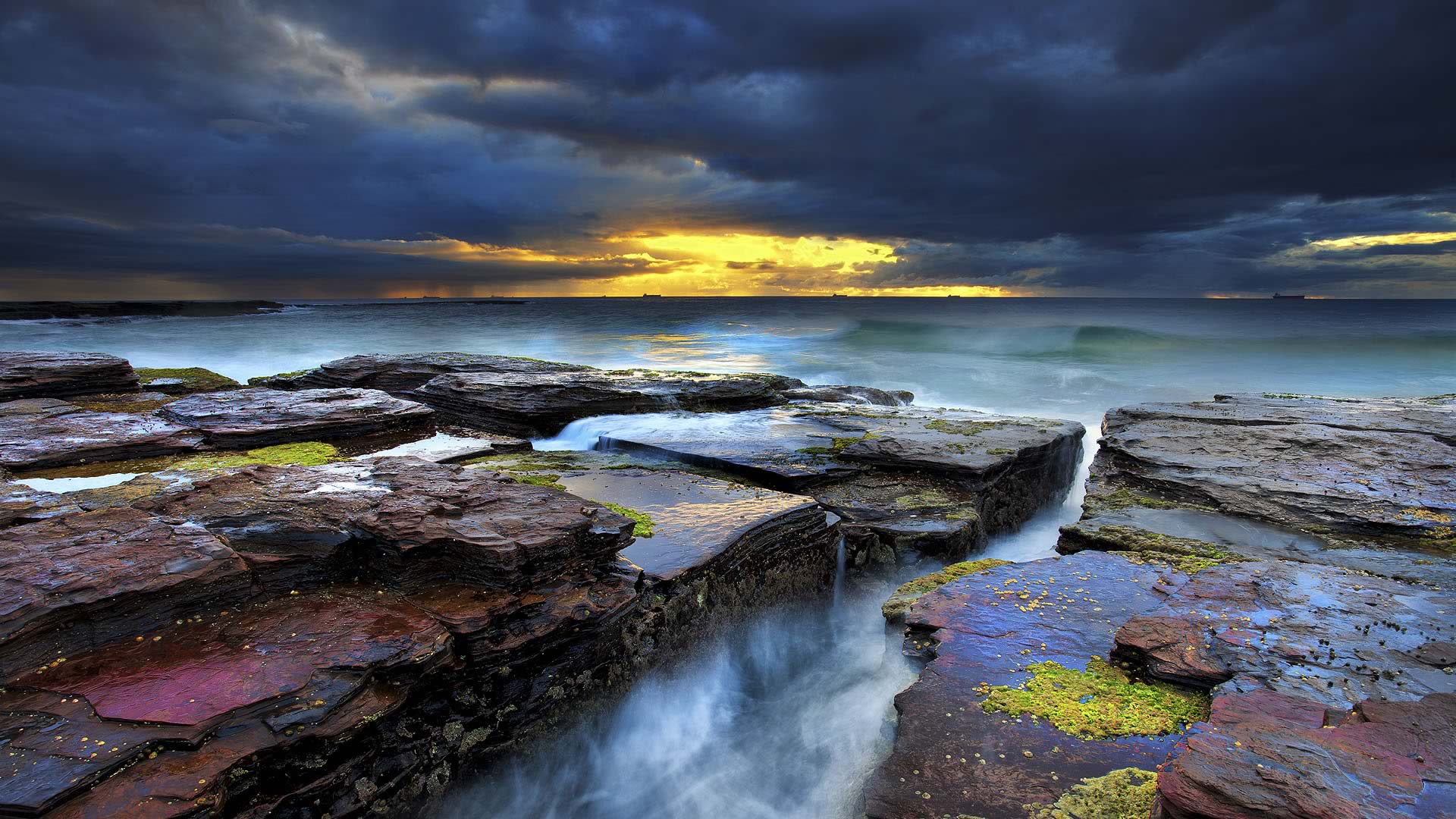 Coledale Beach