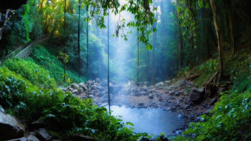 Dorrigo Falls – Bing Wallpaper Download