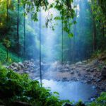 Dorrigo Falls