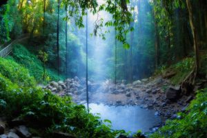 Dorrigo Falls