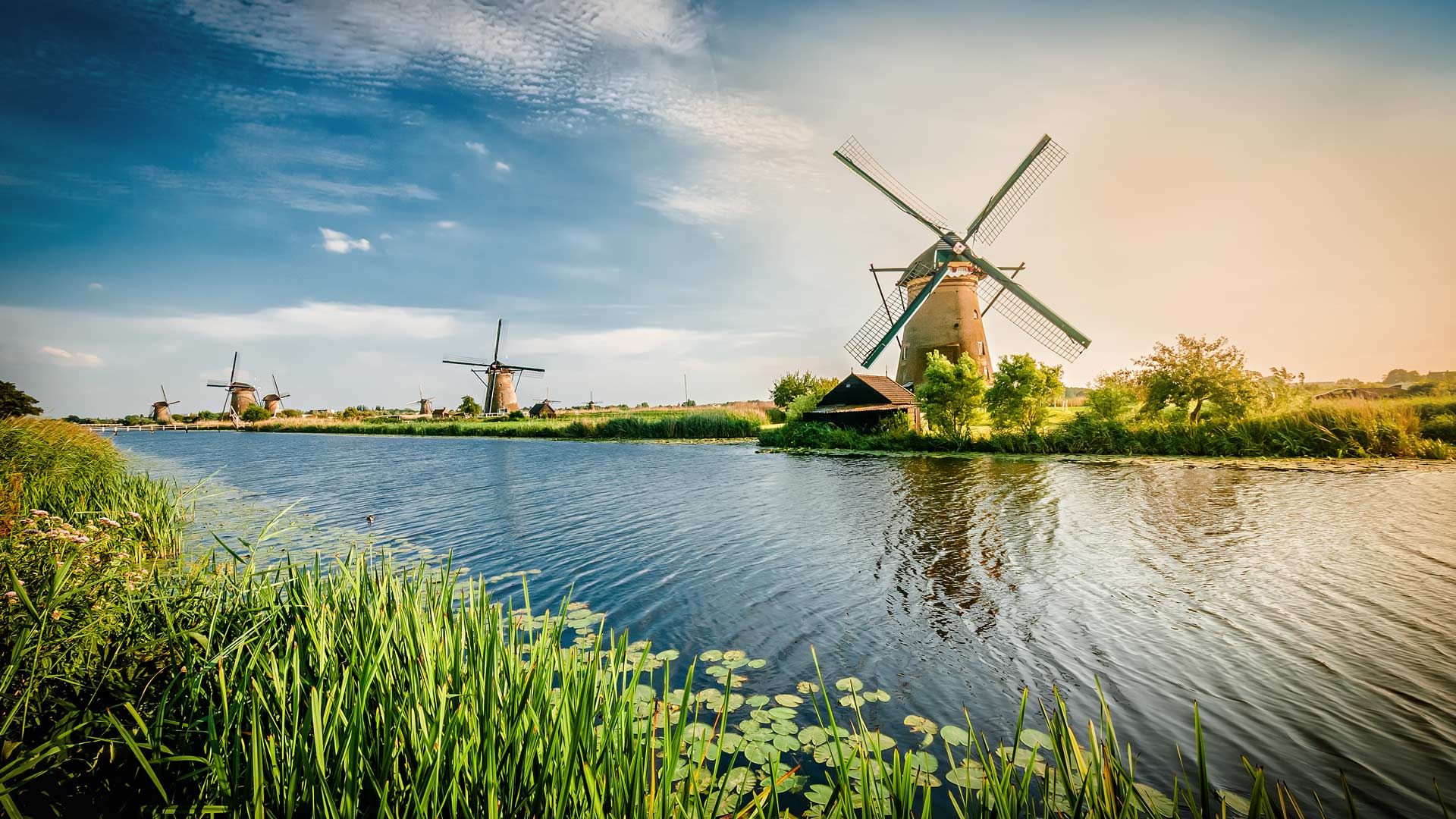 Dutch Windmills