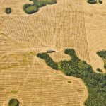 Farm Aerial