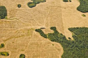 Farm Aerial