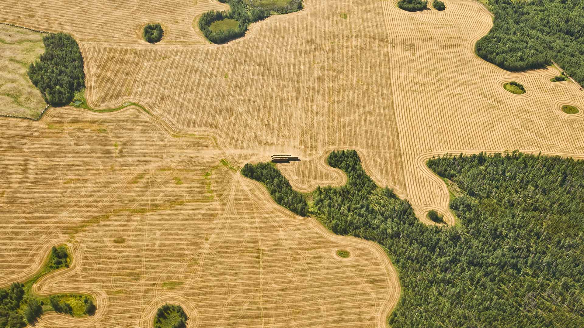 Farm Aerial