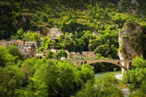 Gorges Of Tarn