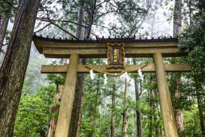 Kumano Kodo2