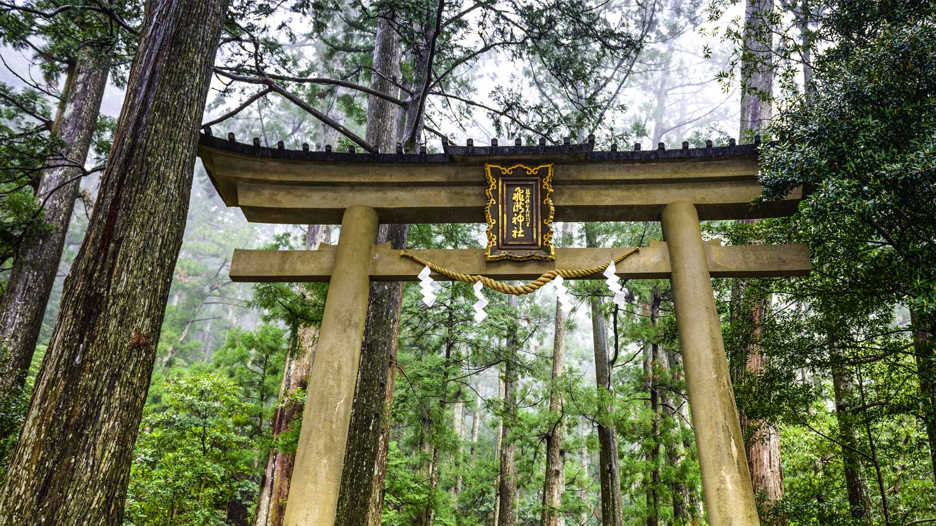 Kumano Kodo2