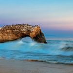 Natural Bridges State Beach