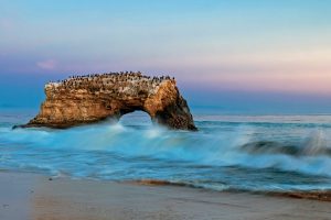 Natural Bridges State Beach