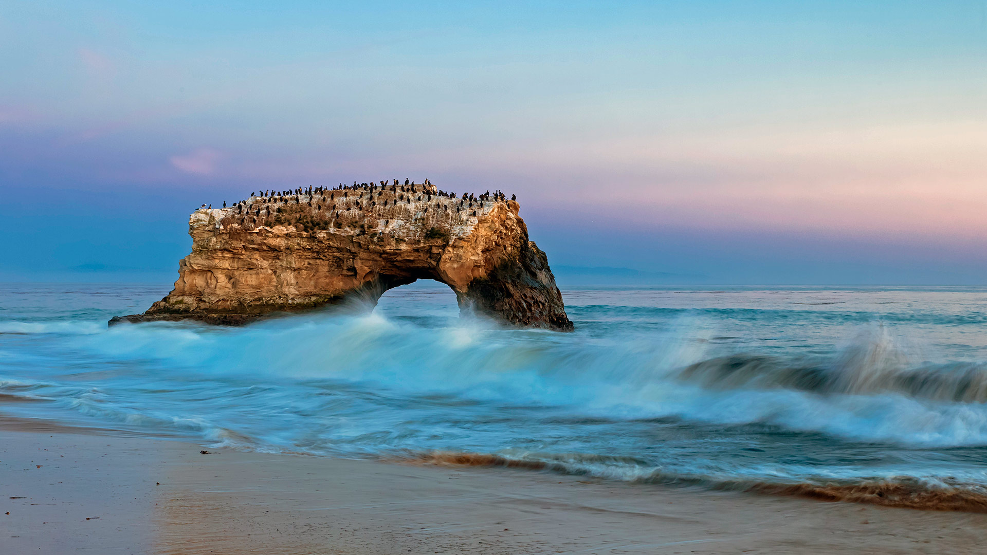 Natural Bridges State Beach