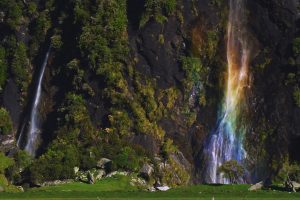 New Zealand Waterfall