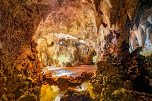 Painshill Park Grotto