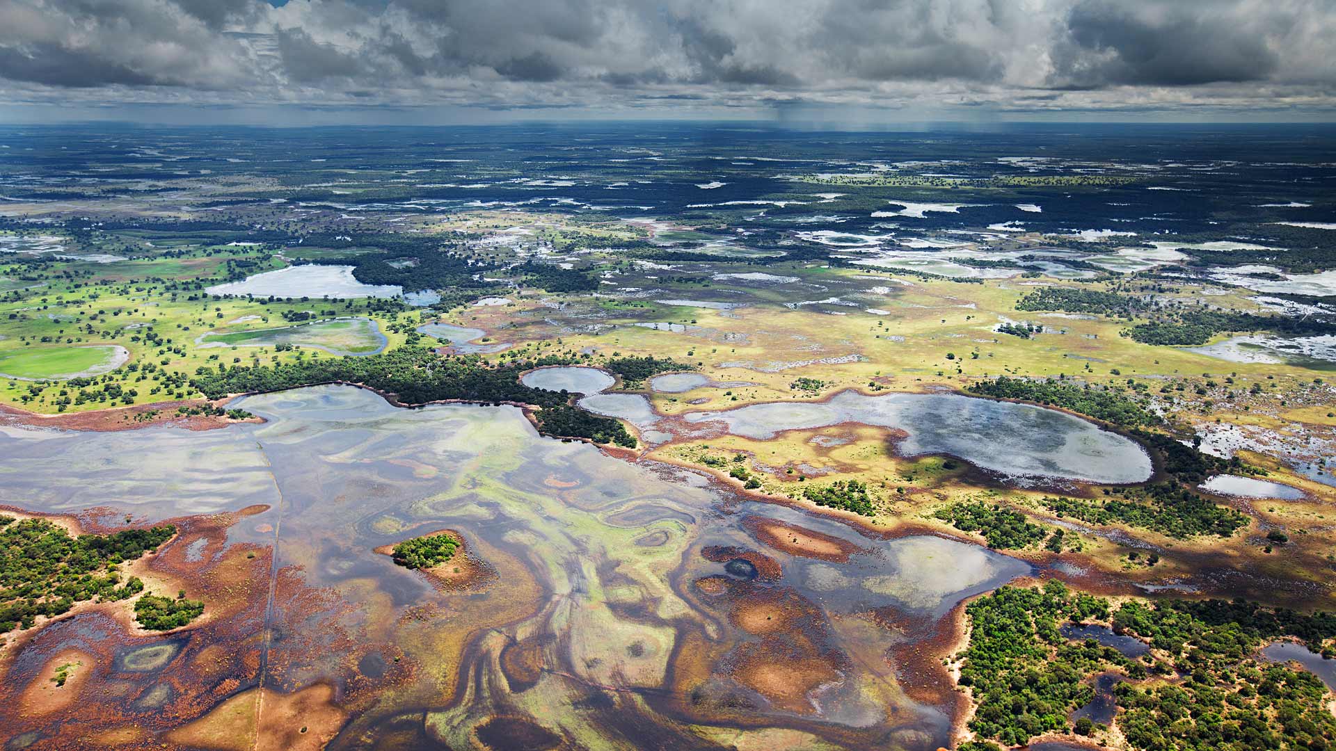 Pantanal Brazil