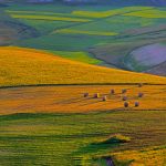 Perugia Farmland