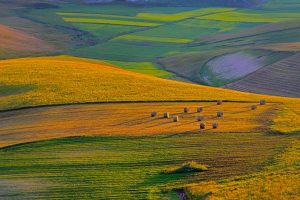 Perugia Farmland