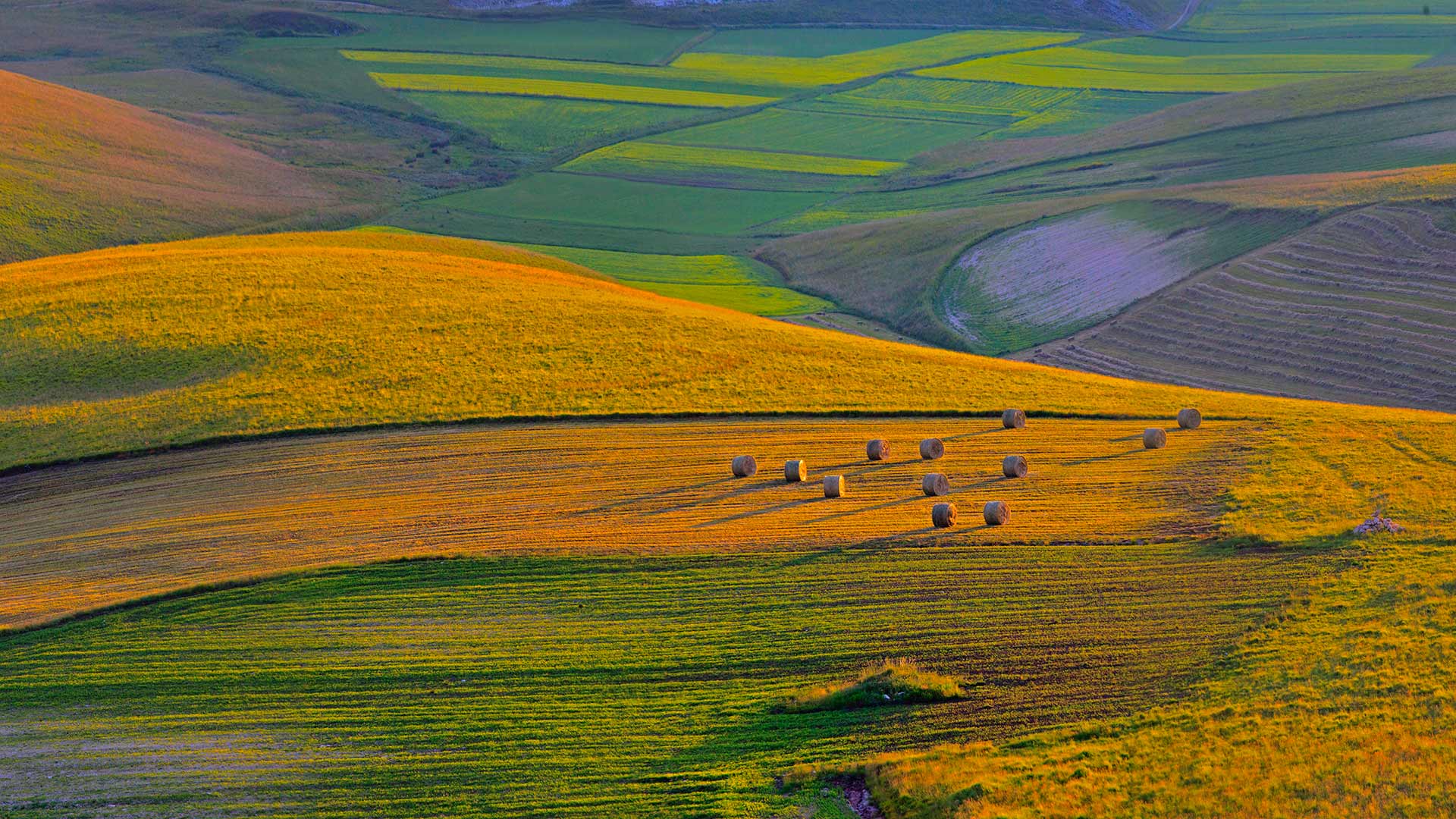 Perugia Farmland