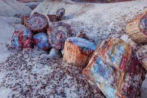 Petrified Forest NP