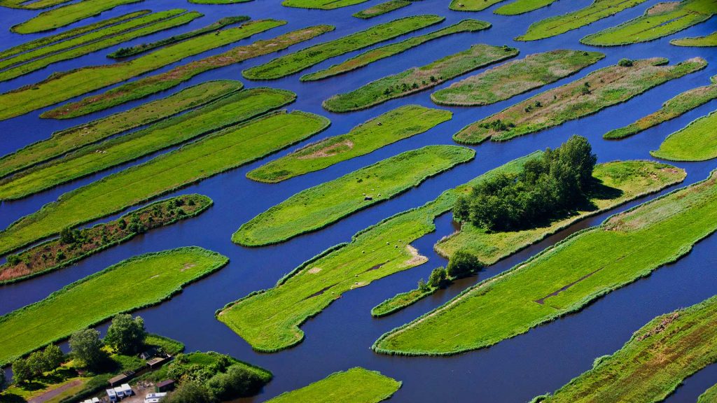 Polder Landscape