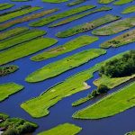 Polder Landscape