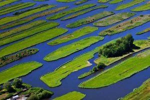 Polder Landscape