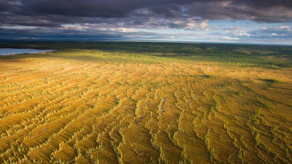 Prairie Alberta