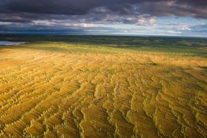 Prairie Alberta