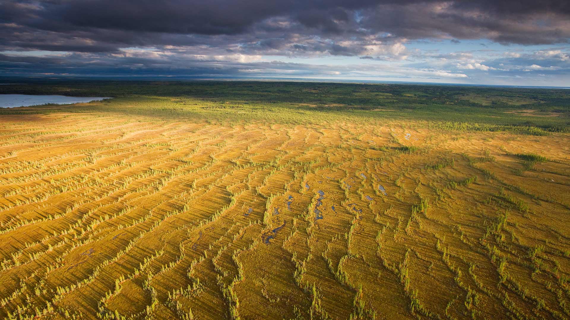 Prairie Alberta