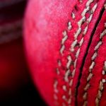 Red Cricket Balls