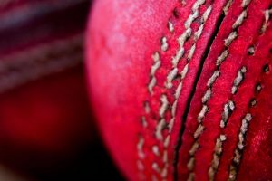 Red Cricket Balls