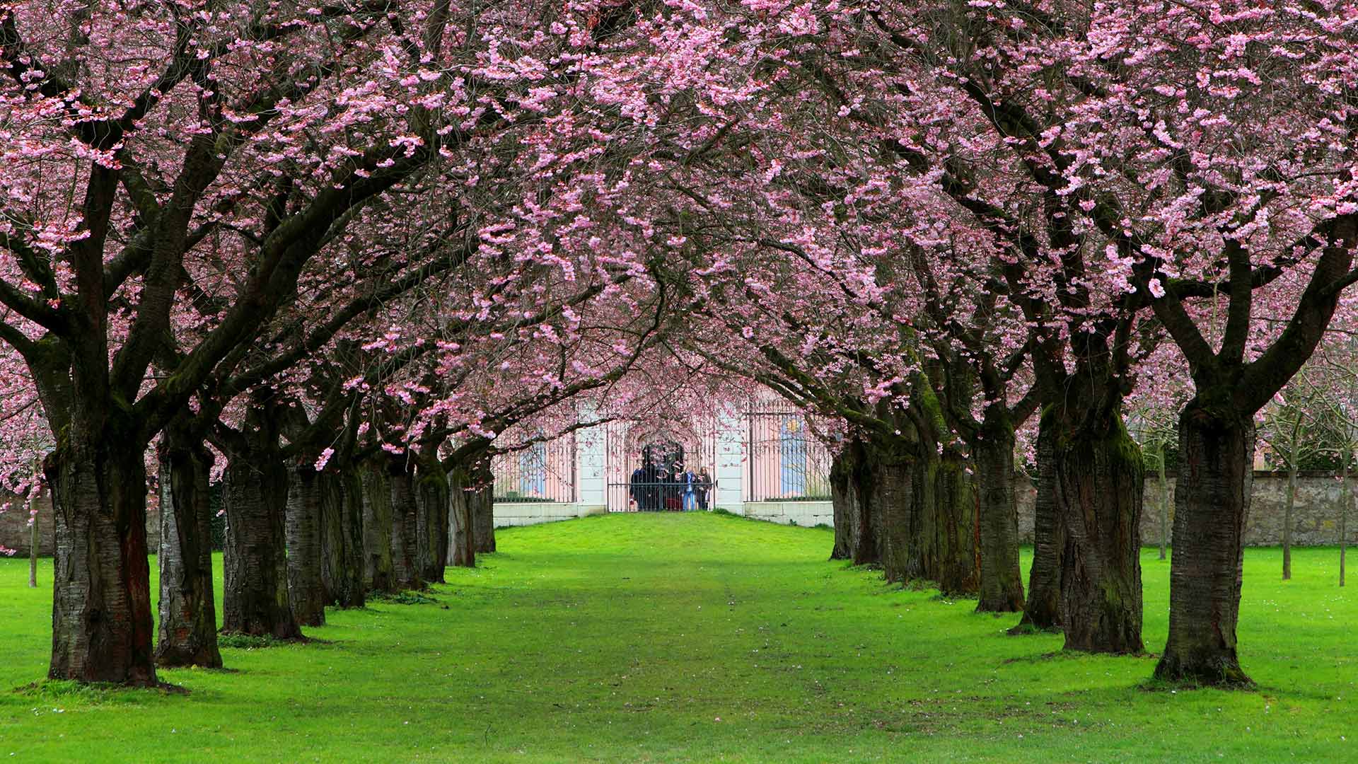 Schwetzinger Schlossgarten